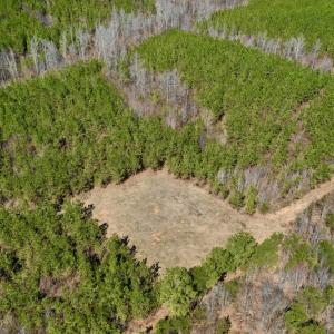 Photo #6 of SOLD property in Off Hog Wallow Road, Nathalie, VA 98.4 acres