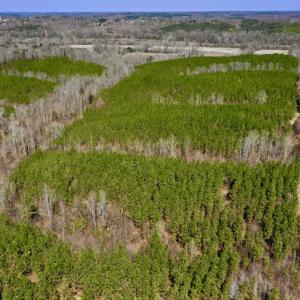 Photo #7 of SOLD property in Off Hog Wallow Road, Nathalie, VA 98.4 acres