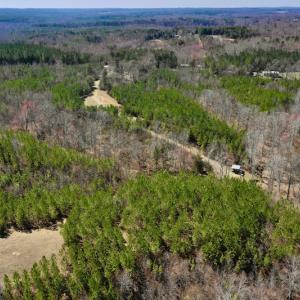 Photo #8 of SOLD property in Off Hog Wallow Road, Nathalie, VA 98.4 acres