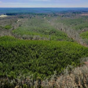 Photo #9 of SOLD property in Off Hog Wallow Road, Nathalie, VA 98.4 acres