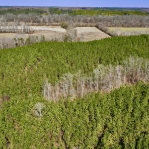 Photo #10 of SOLD property in Off Hog Wallow Road, Nathalie, VA 98.4 acres