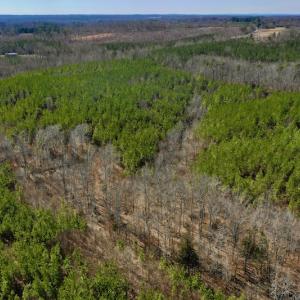 Photo #11 of SOLD property in Off Hog Wallow Road, Nathalie, VA 98.4 acres