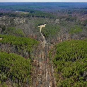 Photo #12 of SOLD property in Off Hog Wallow Road, Nathalie, VA 98.4 acres