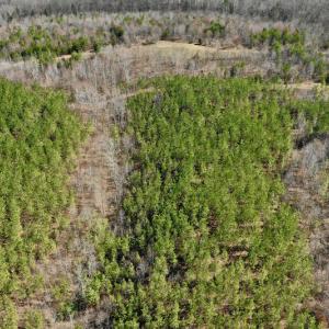 Photo #13 of SOLD property in Off Hog Wallow Road, Nathalie, VA 98.4 acres