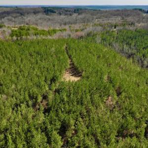 Photo #15 of SOLD property in Off Hog Wallow Road, Nathalie, VA 98.4 acres