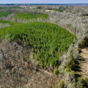 Photo #16 of SOLD property in Off Hog Wallow Road, Nathalie, VA 98.4 acres