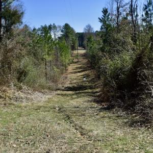 Photo #19 of SOLD property in Off Hog Wallow Road, Nathalie, VA 98.4 acres