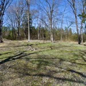 Photo #20 of SOLD property in Off Hog Wallow Road, Nathalie, VA 98.4 acres