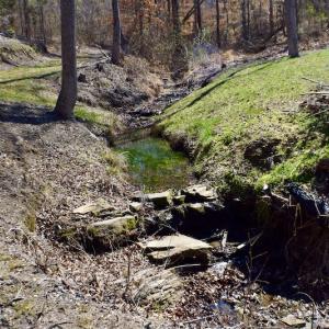 Photo #22 of SOLD property in Off Hog Wallow Road, Nathalie, VA 98.4 acres