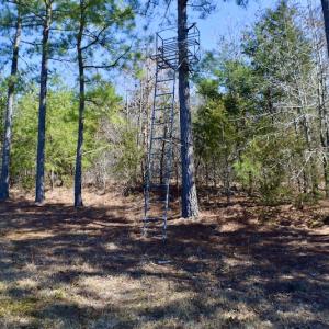 Photo #24 of SOLD property in Off Hog Wallow Road, Nathalie, VA 98.4 acres