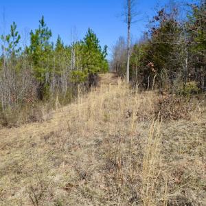 Photo #26 of SOLD property in Off Hog Wallow Road, Nathalie, VA 98.4 acres