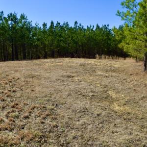 Photo #29 of SOLD property in Off Hog Wallow Road, Nathalie, VA 98.4 acres
