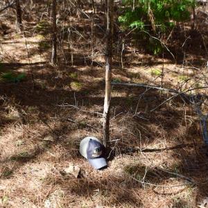 Photo #30 of SOLD property in Off Hog Wallow Road, Nathalie, VA 98.4 acres