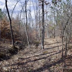 Photo #32 of SOLD property in Off Hog Wallow Road, Nathalie, VA 98.4 acres