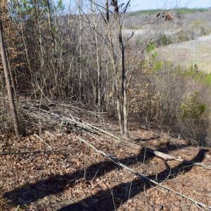 Photo #33 of SOLD property in Off Hog Wallow Road, Nathalie, VA 98.4 acres