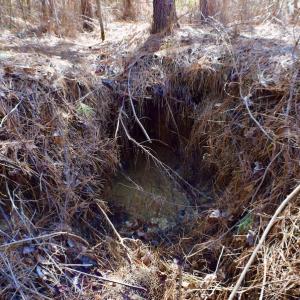 Photo #36 of SOLD property in Off Hog Wallow Road, Nathalie, VA 98.4 acres