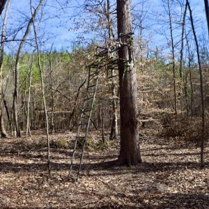 Photo #39 of SOLD property in Off Hog Wallow Road, Nathalie, VA 98.4 acres