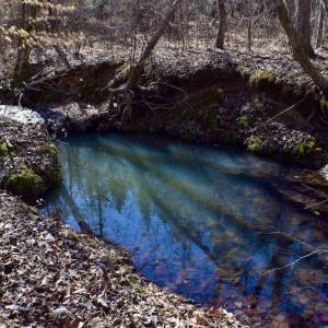 Photo #42 of SOLD property in Off Hog Wallow Road, Nathalie, VA 98.4 acres