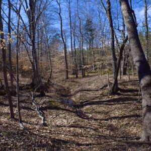 Photo #43 of SOLD property in Off Hog Wallow Road, Nathalie, VA 98.4 acres