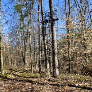 Photo #44 of SOLD property in Off Hog Wallow Road, Nathalie, VA 98.4 acres