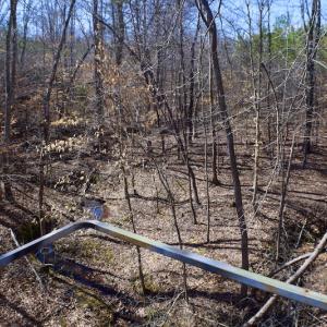 Photo #45 of SOLD property in Off Hog Wallow Road, Nathalie, VA 98.4 acres