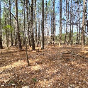 Photo #11 of SOLD property in Off Meadow Drive, Smithfield, VA 5.0 acres