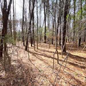 Photo #12 of SOLD property in Off Meadow Drive, Smithfield, VA 5.0 acres
