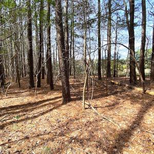 Photo #13 of SOLD property in Off Meadow Drive, Smithfield, VA 5.0 acres