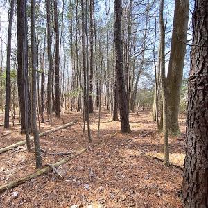 Photo #15 of SOLD property in Off Meadow Drive, Smithfield, VA 5.0 acres