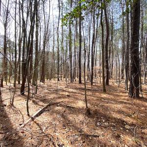 Photo #18 of SOLD property in Off Meadow Drive, Smithfield, VA 5.0 acres