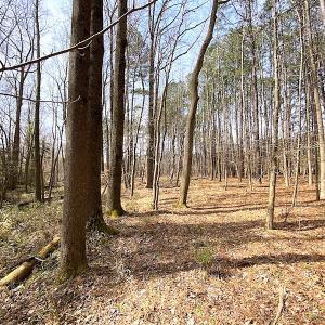 Photo #21 of SOLD property in Off Meadow Drive, Smithfield, VA 5.0 acres