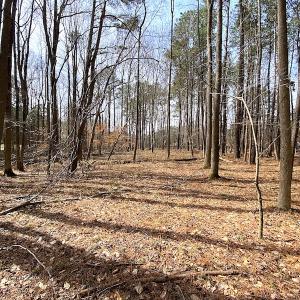 Photo #22 of SOLD property in Off Meadow Drive, Smithfield, VA 5.0 acres