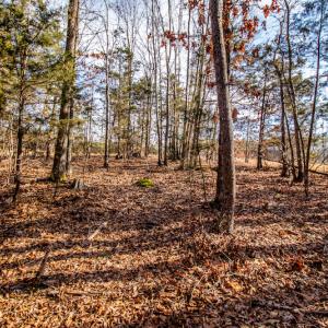 Photo #15 of SOLD property in Off Epps Martin Road, Roxboro, NC 2.0 acres