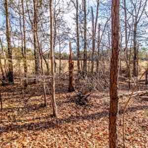 Photo #16 of SOLD property in Off Epps Martin Road, Roxboro, NC 2.0 acres