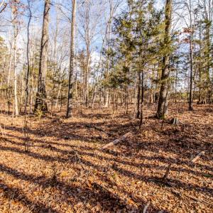 Photo #17 of SOLD property in Off Epps Martin Road, Roxboro, NC 2.0 acres