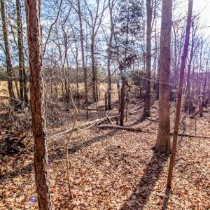 Photo #18 of SOLD property in Off Epps Martin Road, Roxboro, NC 2.0 acres