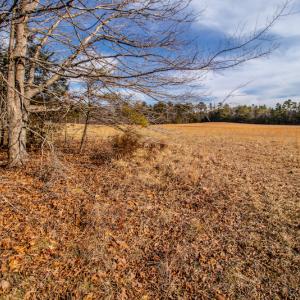 Photo #19 of SOLD property in Off Epps Martin Road, Roxboro, NC 2.0 acres