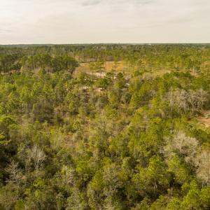 Photo #16 of SOLD property in 837 Bricklanding Road SW, Shallotte, NC 2.3 acres