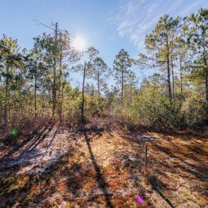 Photo #18 of SOLD property in 837 Bricklanding Road SW, Shallotte, NC 2.3 acres