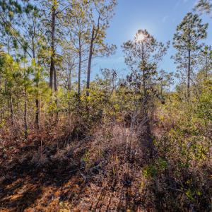 Photo #20 of SOLD property in 837 Bricklanding Road SW, Shallotte, NC 2.3 acres