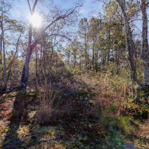Photo #21 of SOLD property in 837 Bricklanding Road SW, Shallotte, NC 2.3 acres