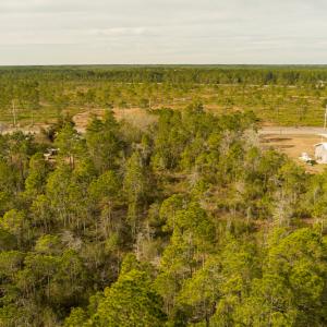 Photo #6 of SOLD property in 837 Bricklanding Road SW, Shallotte, NC 2.3 acres