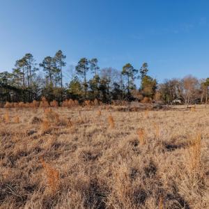 Photo #19 of SOLD property in 22343 Crestwood Drive, Laurinburg, NC 5.4 acres
