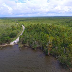 Photo #4 of SOLD property in Off Texas Road, Shiloh, NC 1,340.0 acres