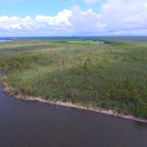 Photo #6 of SOLD property in Off Texas Road, Shiloh, NC 1,340.0 acres
