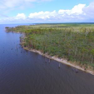 Photo #8 of SOLD property in Off Texas Road, Shiloh, NC 1,340.0 acres