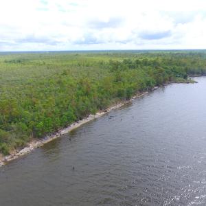 Photo #10 of SOLD property in Off Texas Road, Shiloh, NC 1,340.0 acres