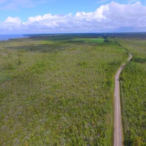 Photo #11 of SOLD property in Off Texas Road, Shiloh, NC 1,340.0 acres