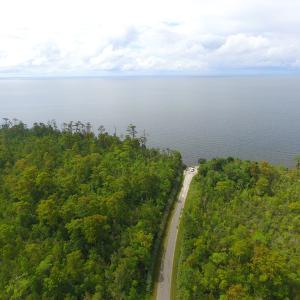 Photo #12 of SOLD property in Off Texas Road, Shiloh, NC 1,340.0 acres