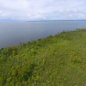 Photo #13 of SOLD property in Off Texas Road, Shiloh, NC 1,340.0 acres